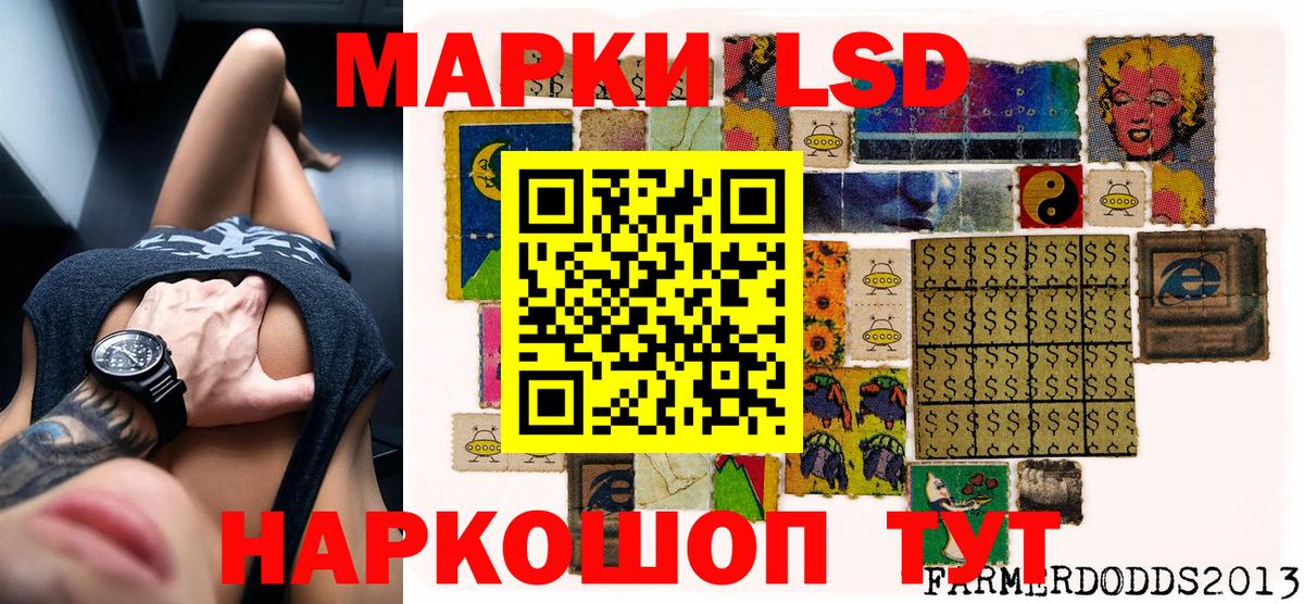 Канаш  Марки N-bome 1,8мг  Вход с VPN 